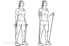 Biceps-curl