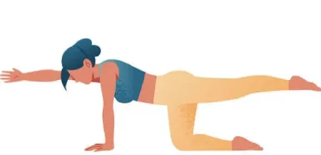 Dandayamana Brahmanaasana (Bird Dog Pose)