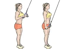 Triceps-pull